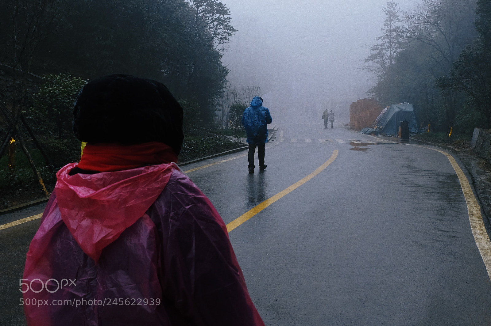 Fujifilm X-T20 sample photo. Untitled photography