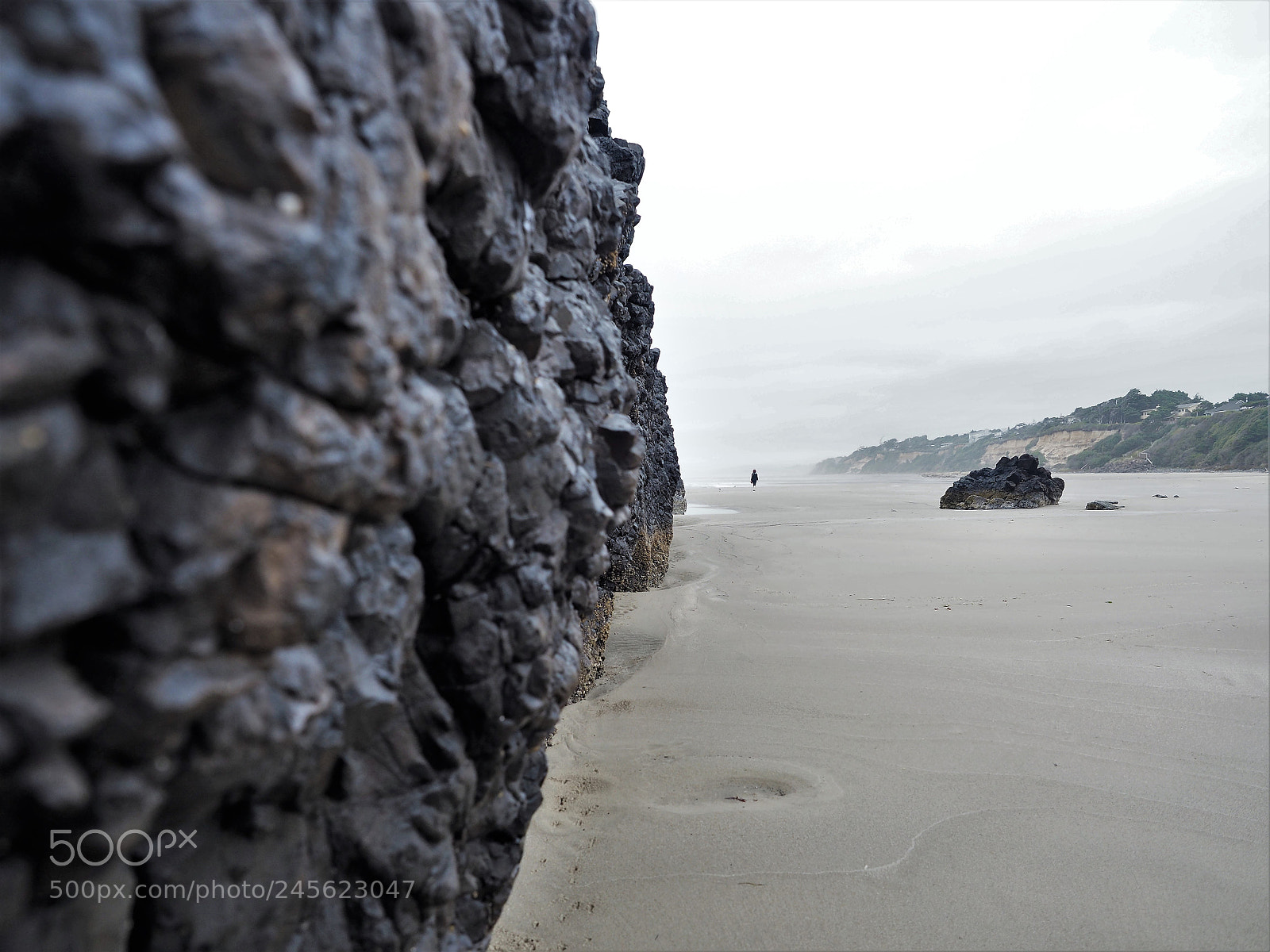 Olympus OM-D E-M5 II sample photo. Follow the rock line. photography