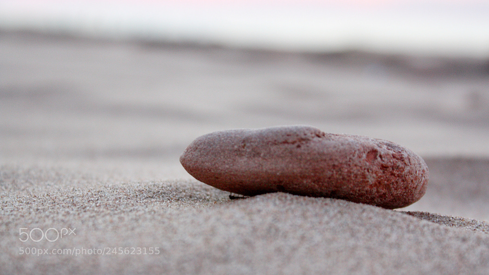 Canon EOS 450D (EOS Rebel XSi / EOS Kiss X2) sample photo. Stone on the beach photography