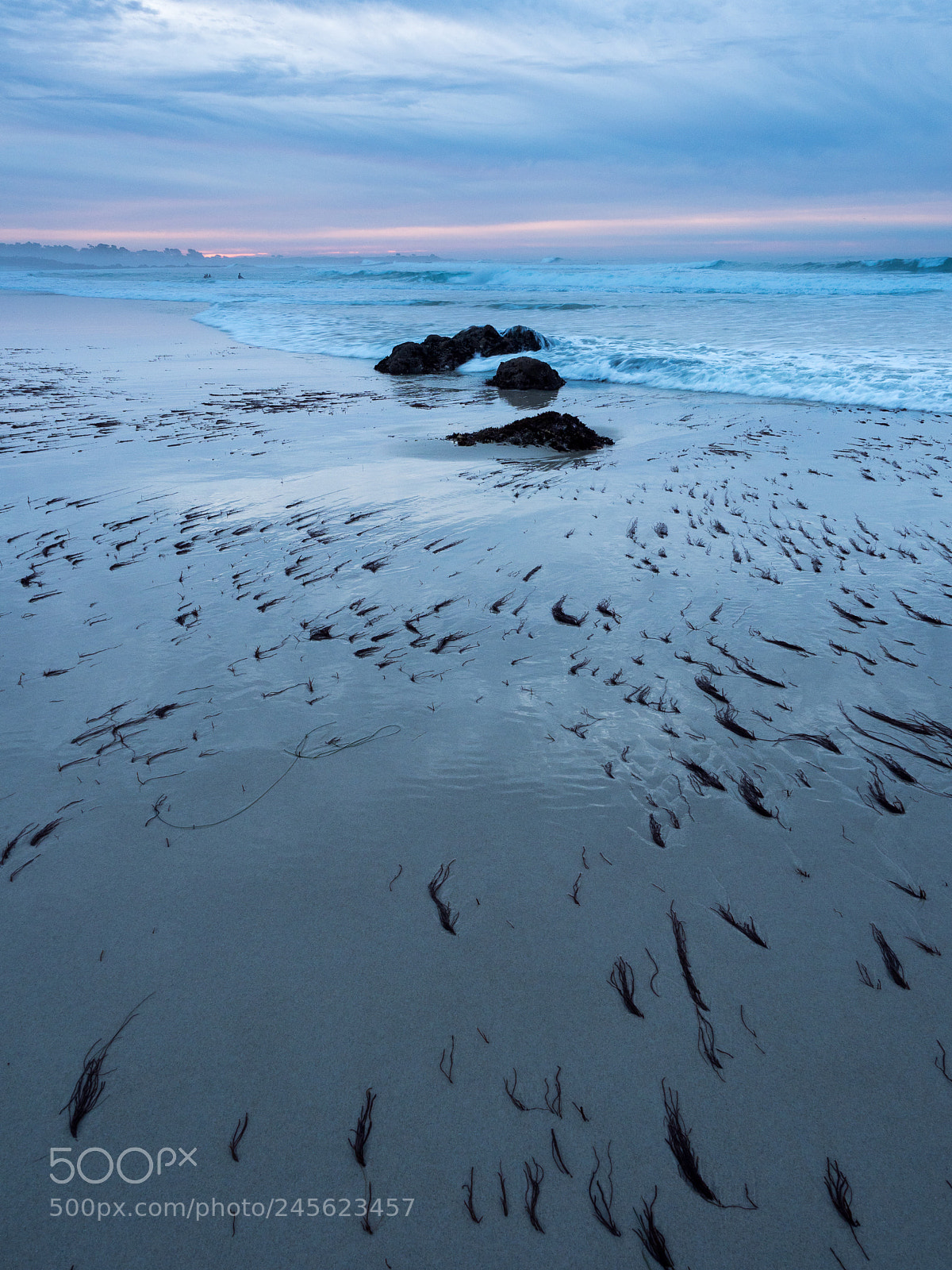Olympus OM-D E-M1 Mark II sample photo. Seaweed and sunset photography