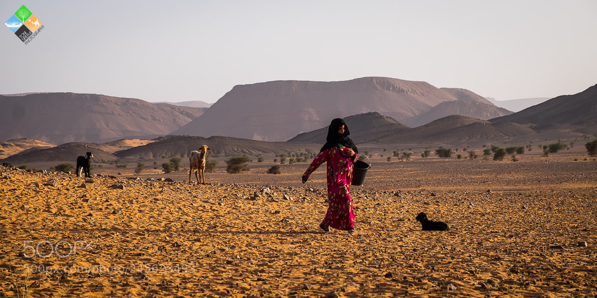 Fujifilm X-T1 sample photo. Life in desert photography