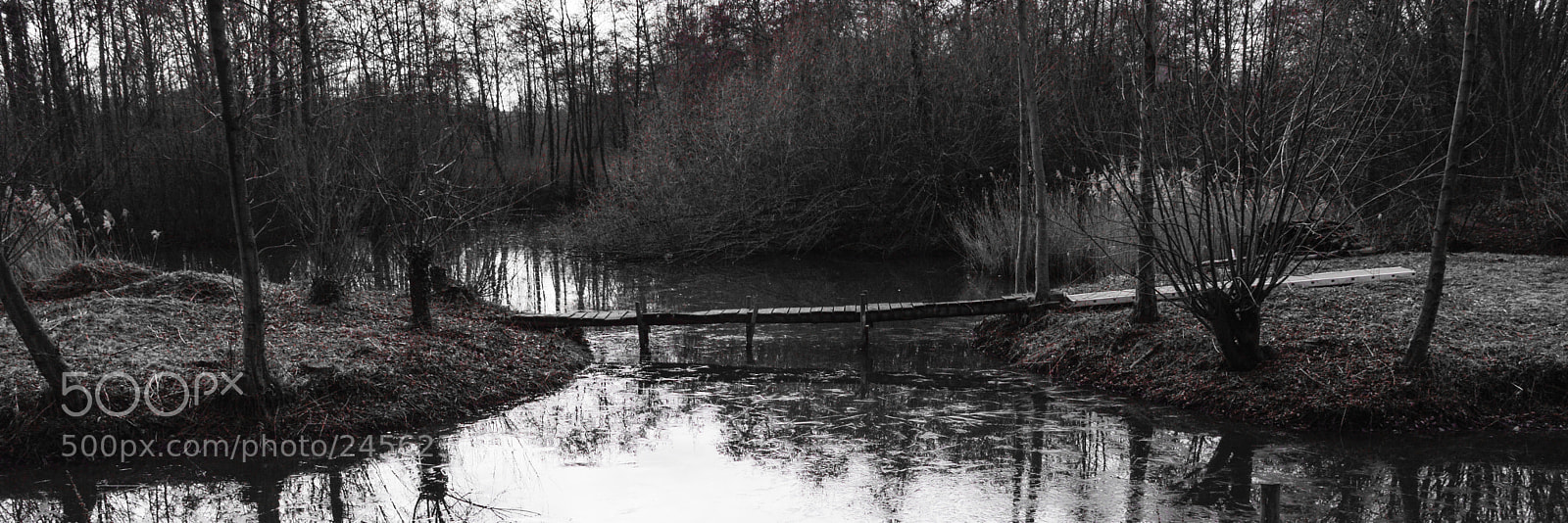 Nikon D3200 sample photo. Island hopping bridge needham photography
