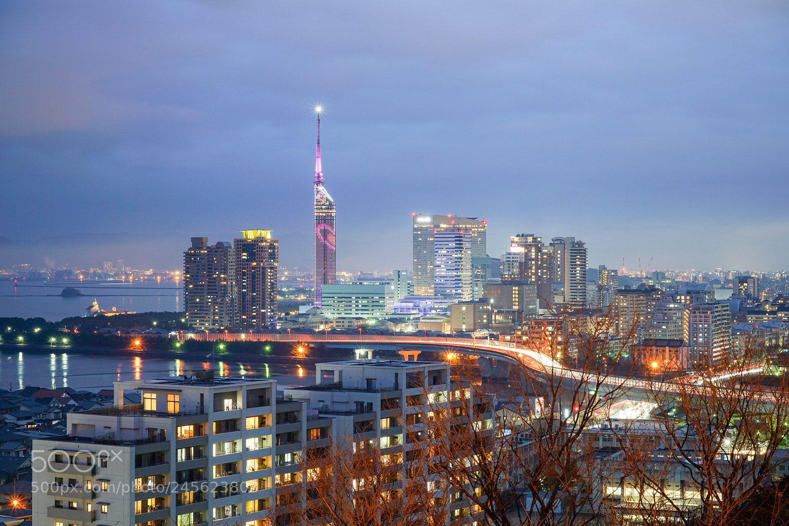 Sony a7R II sample photo. Fukuoka night photography