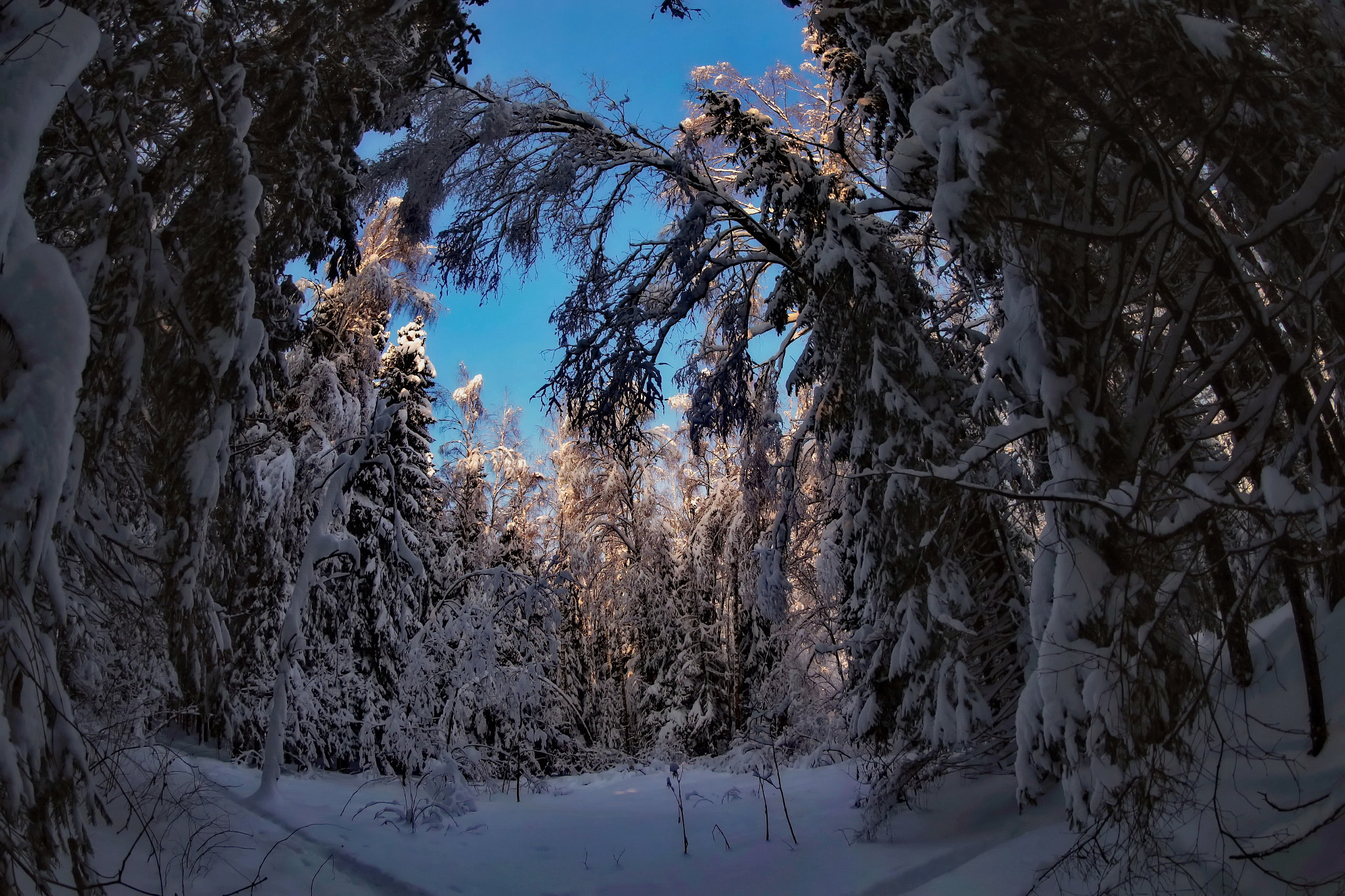 Canon EOS sample photo. Fairy glade photography