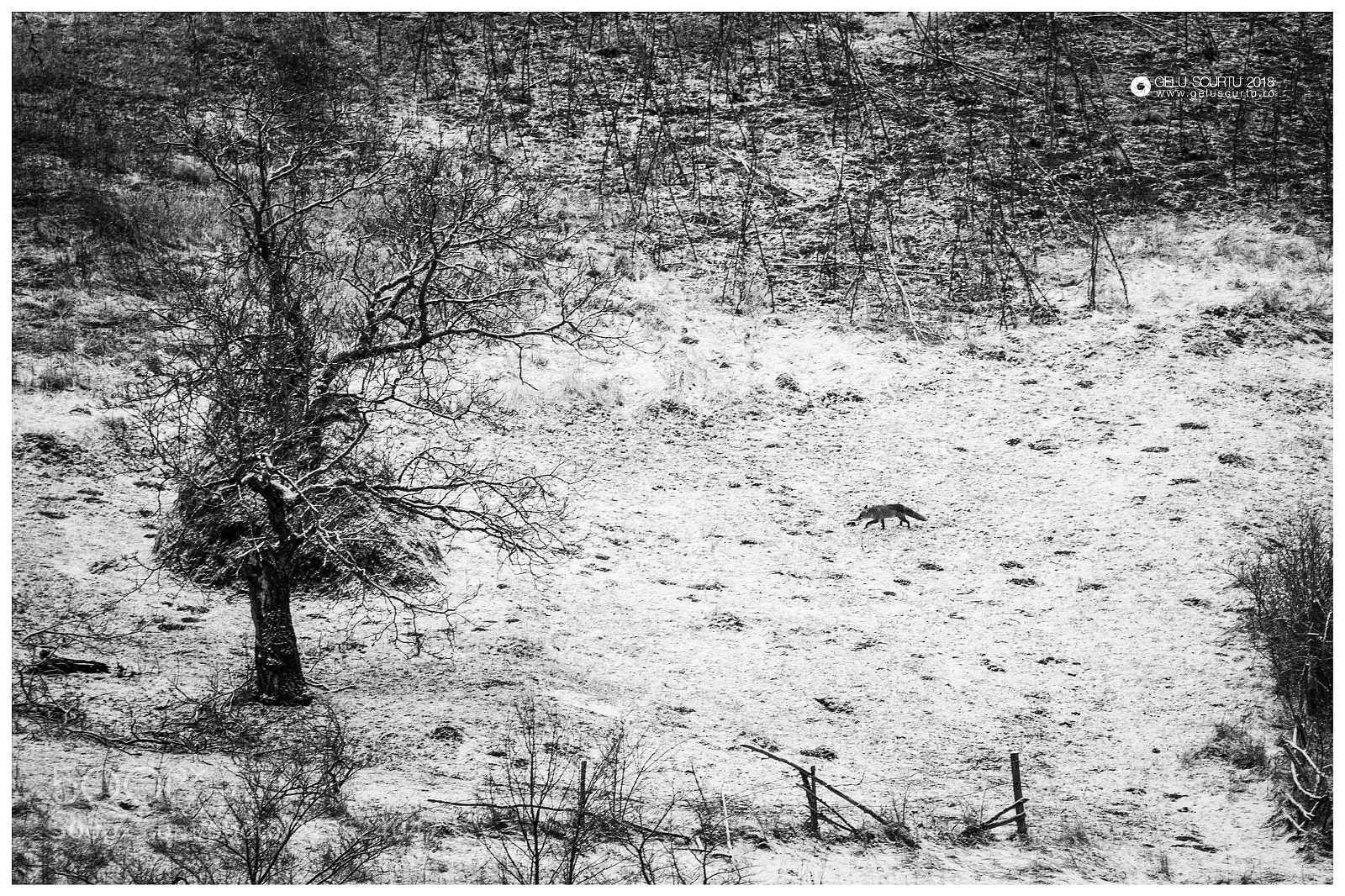Nikon D7200 sample photo. B & w photography