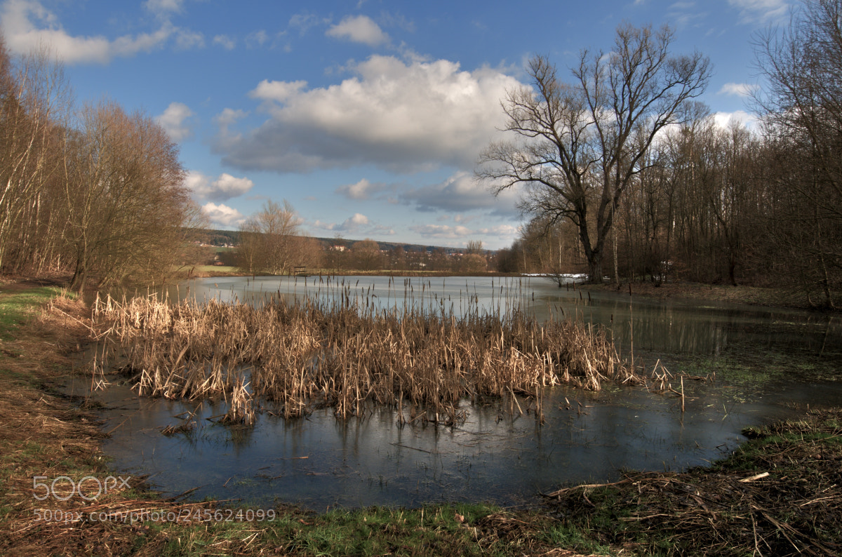 Nikon D300 sample photo. Pond in borovičky photography