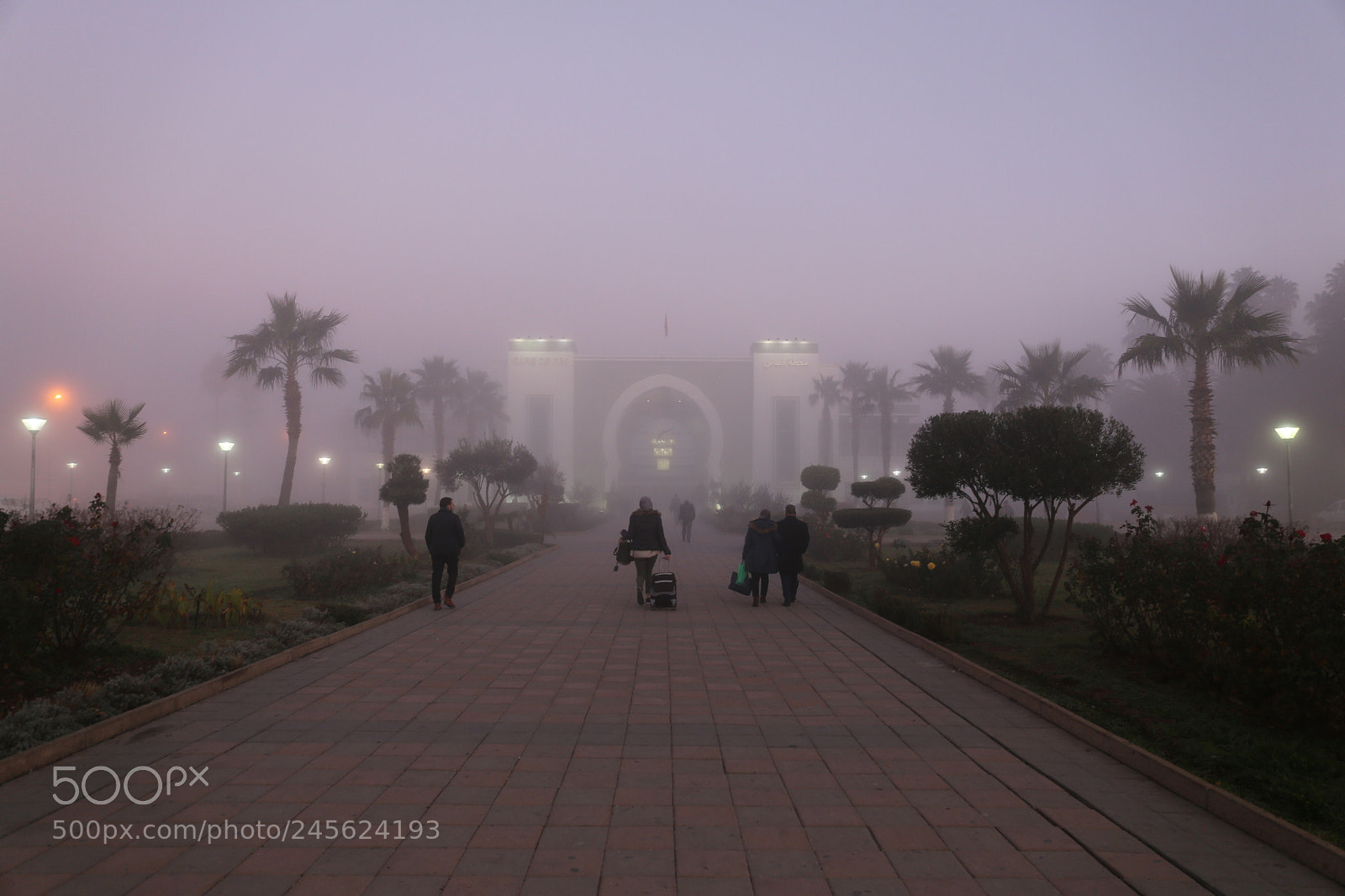 Canon EF 24-70mm F4L IS USM sample photo. Untitled photography