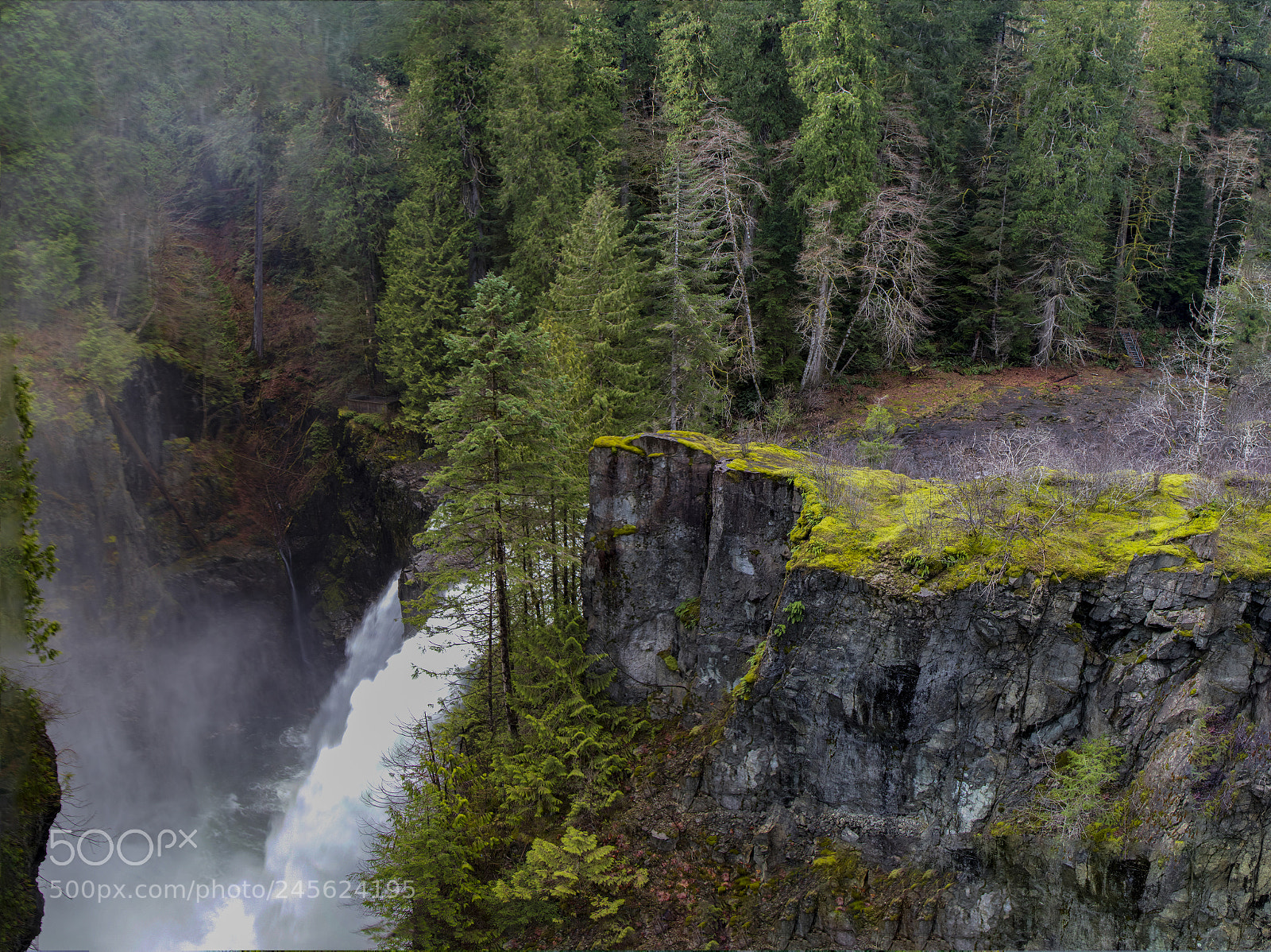 Canon EOS M5 sample photo. Elk falls provincial park photography