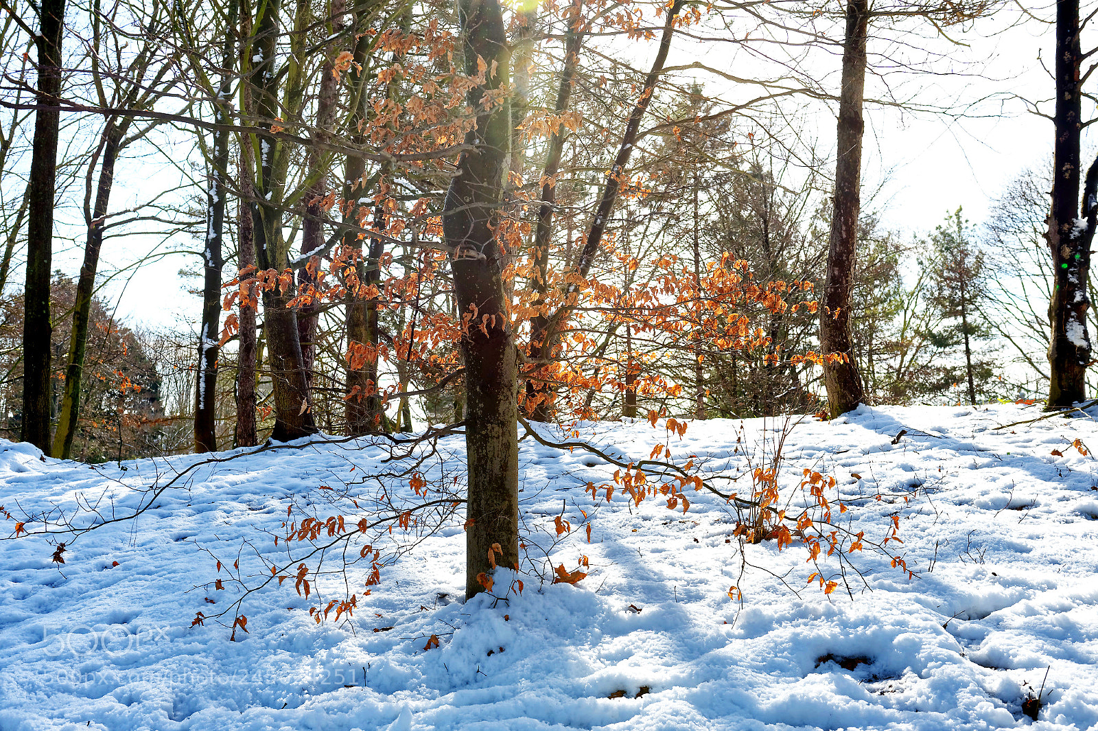 Nikon D4 sample photo. Le jour suivant photography