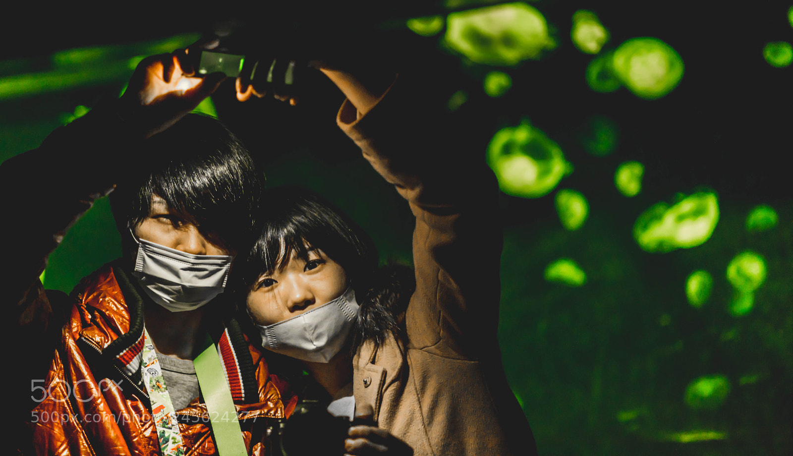 Sony a7R sample photo. Aquarium

date photography