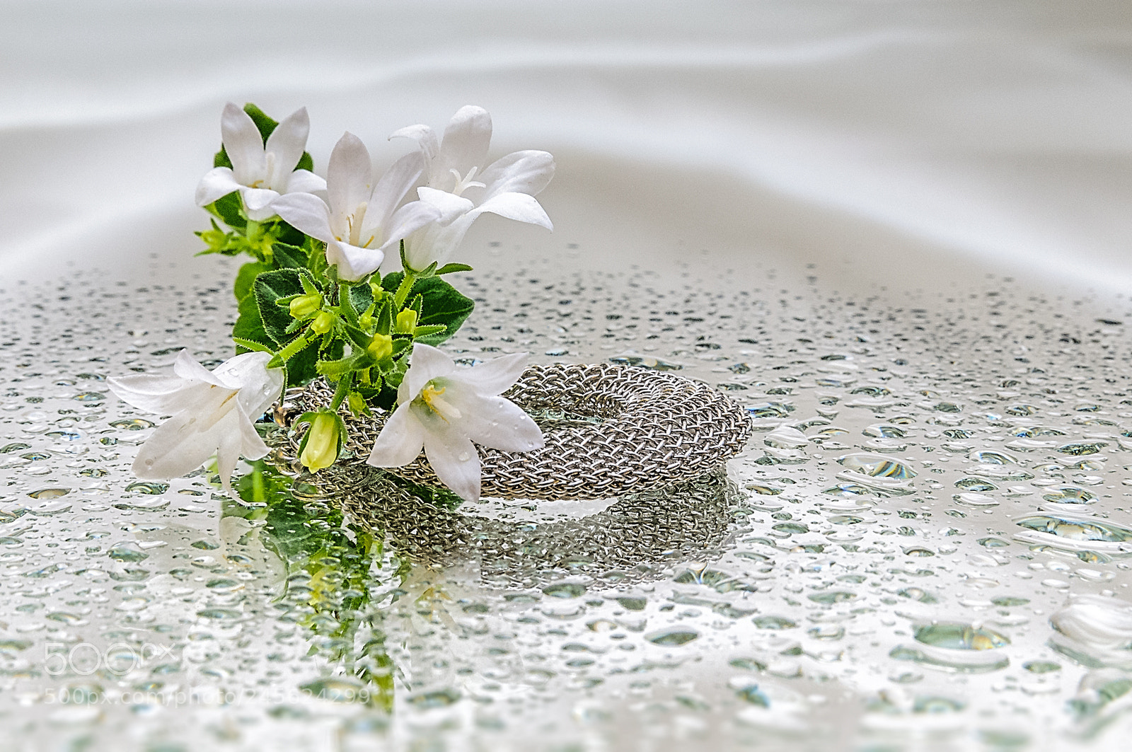 Nikon D300 sample photo. *** photography
