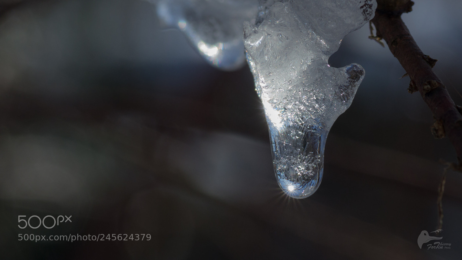 Canon EOS 700D (EOS Rebel T5i / EOS Kiss X7i) sample photo. Hiver photography