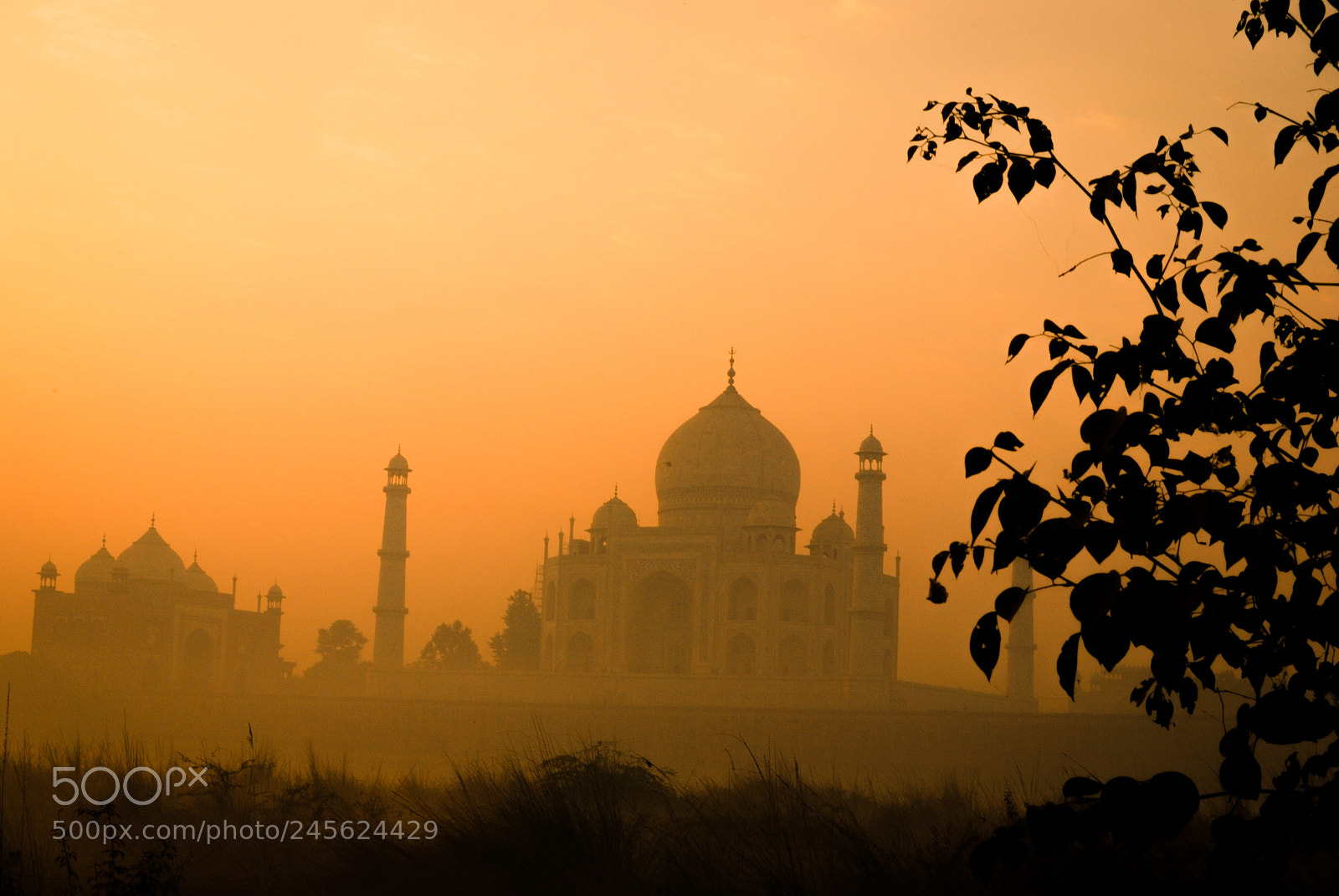 Nikon D60 sample photo. Tajmahal at dawn photography