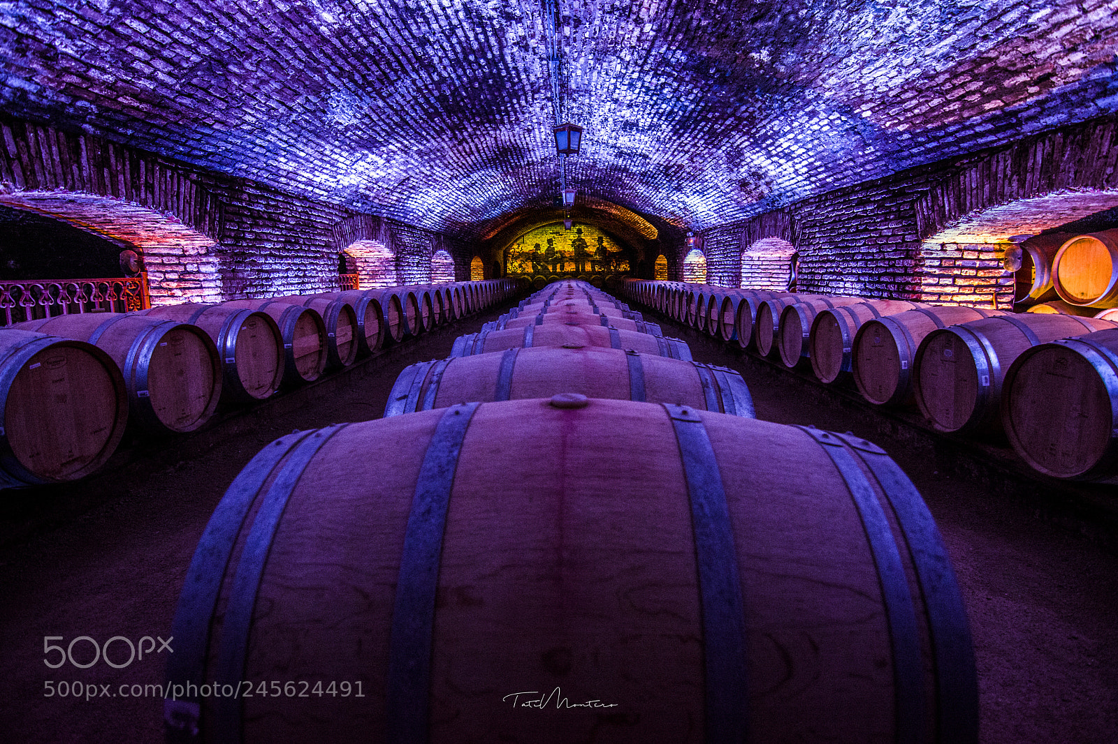 Nikon D7100 sample photo. Casillero del diablo photography