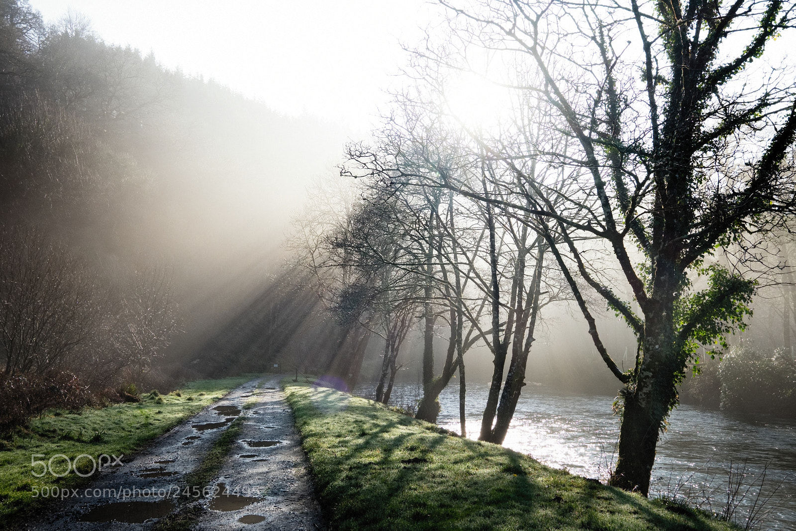 Fujifilm X-T1 sample photo. The tamar at endsleigh photography