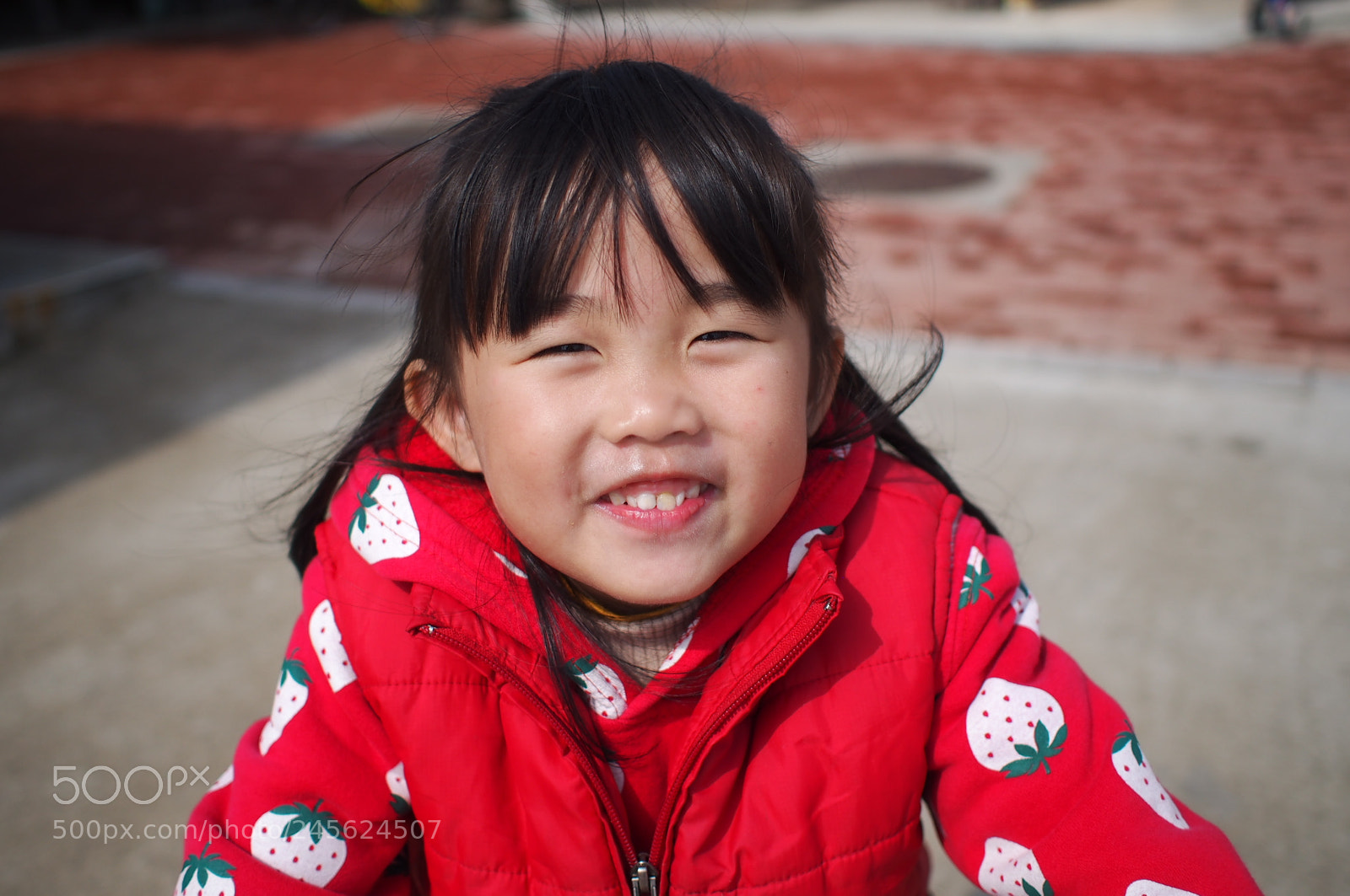 Olympus PEN E-P5 sample photo. Untitled photography