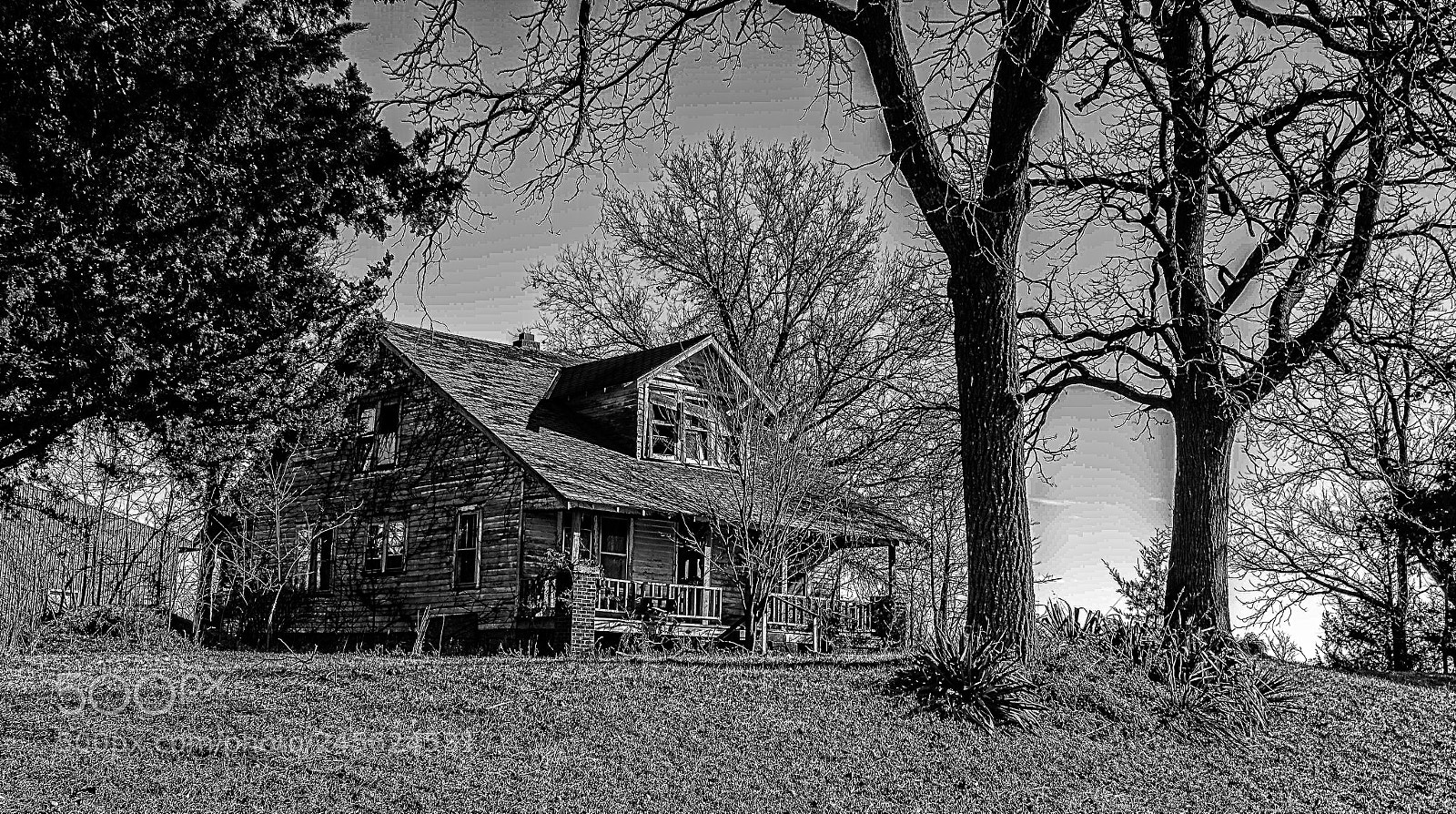 Nikon D5100 sample photo. Home in decay photography