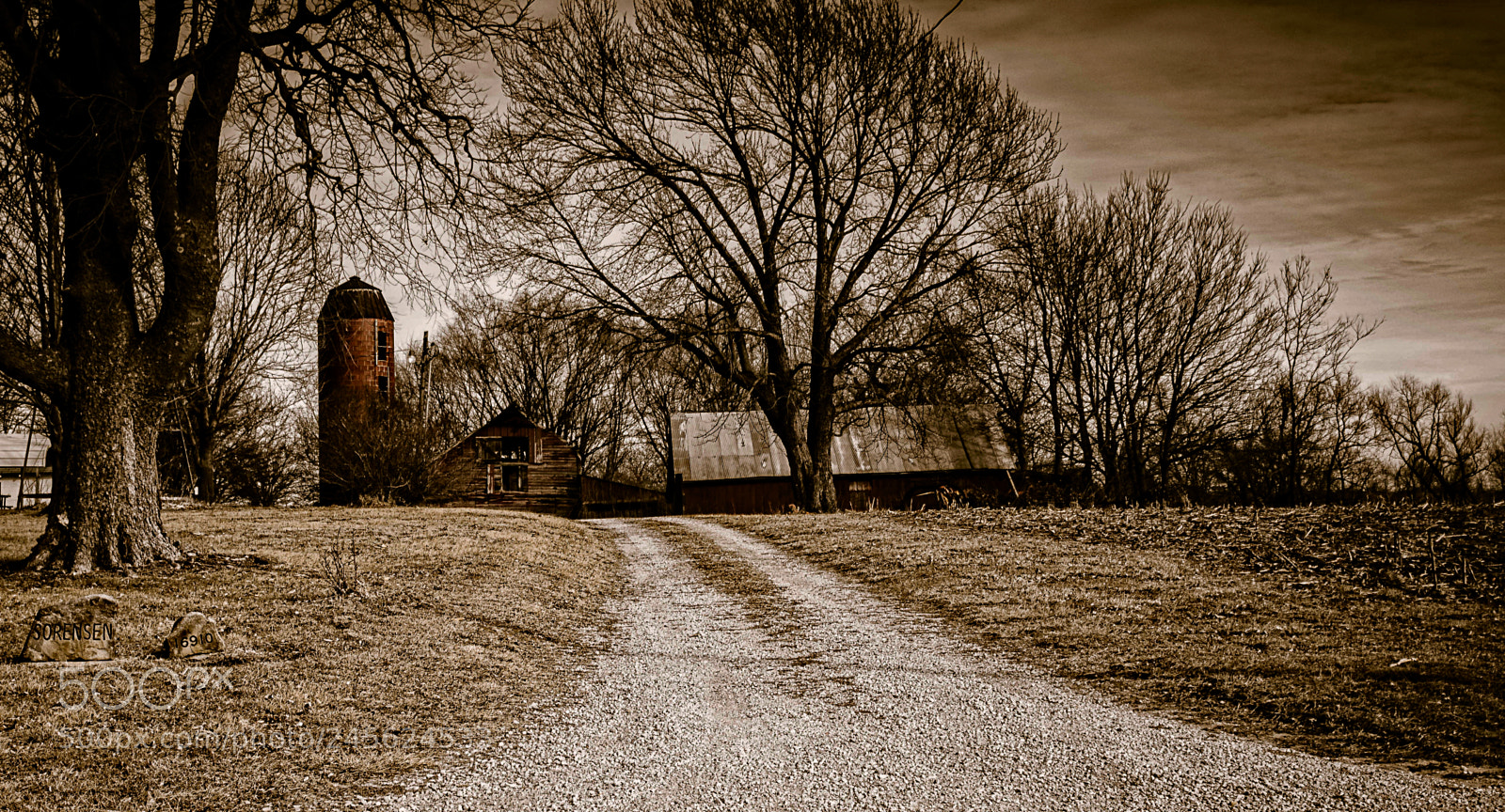 Nikon D5100 sample photo. Old farm photography