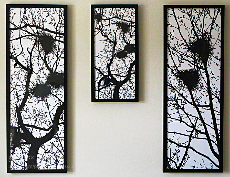 Canon POWERSHOT G9 sample photo. Rookeries in lounge iii photography