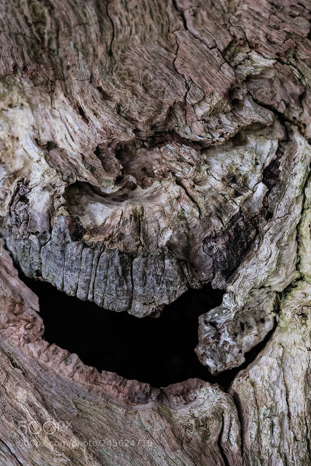 Fujifilm X-T1 sample photo. Wooden smile photography