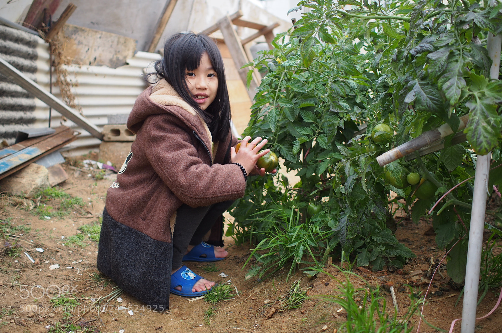 Olympus PEN E-P5 sample photo. Untitled photography