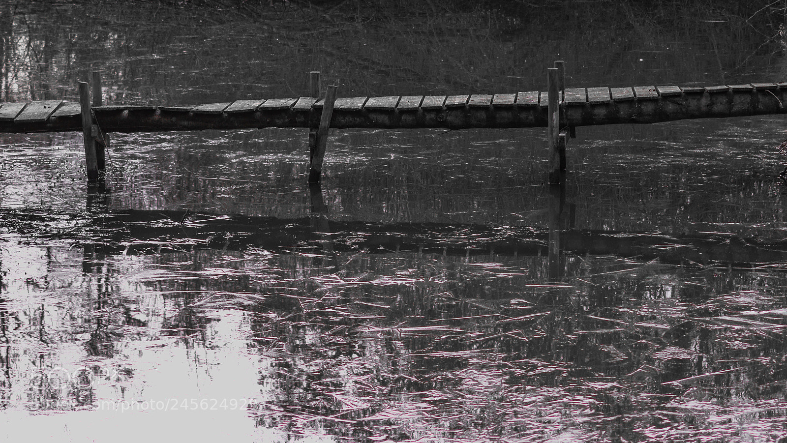 Nikon D3200 sample photo. Needham bridge photography