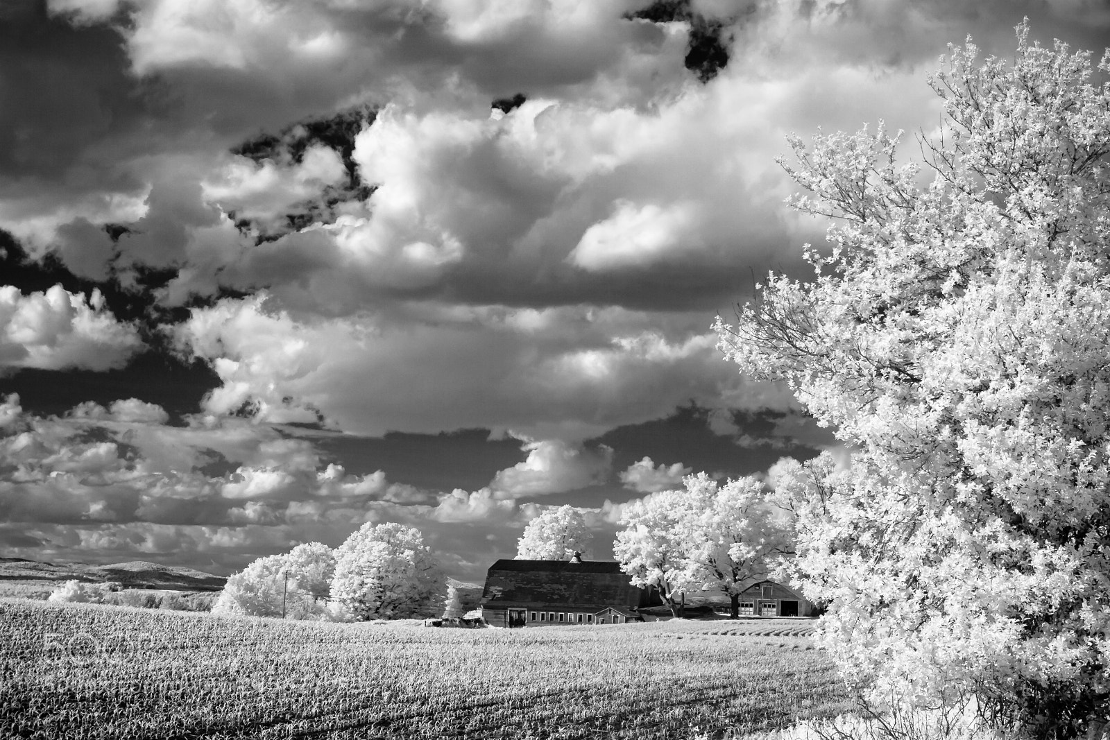 Canon EOS 400D (EOS Digital Rebel XTi / EOS Kiss Digital X) sample photo. Vermont farm infrared photography