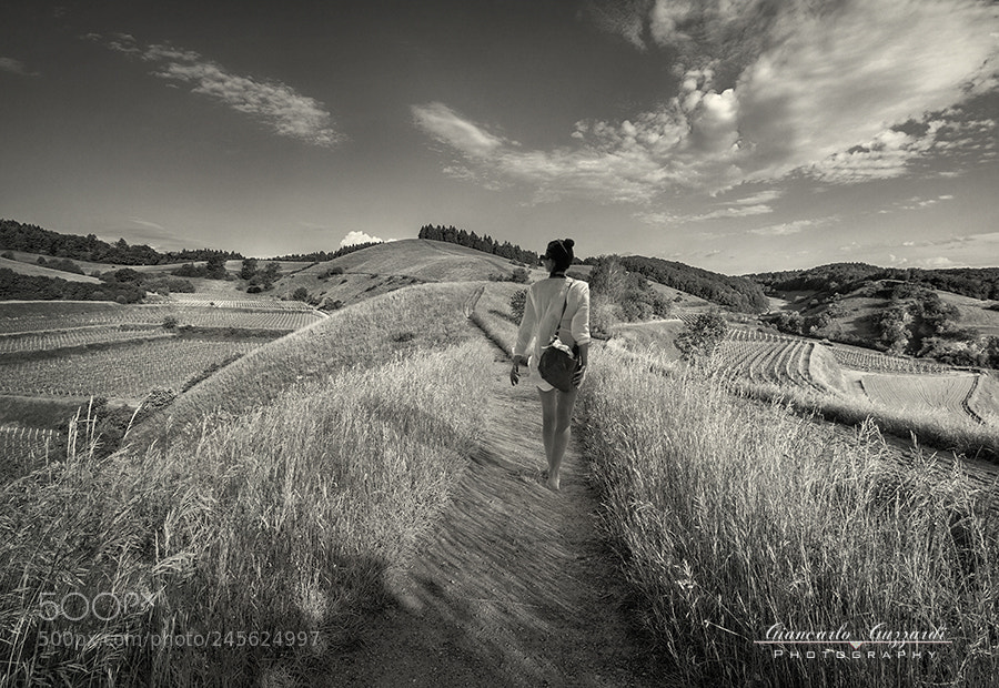 Nikon D7100 sample photo. The hills at sunset photography