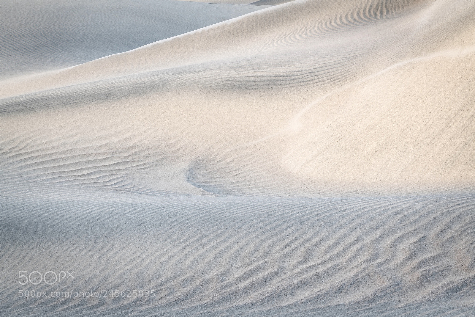 Nikon D850 sample photo. Soft dune light, death photography