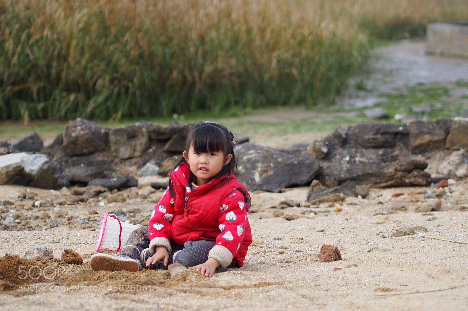 Olympus PEN E-P5 sample photo. Untitled photography