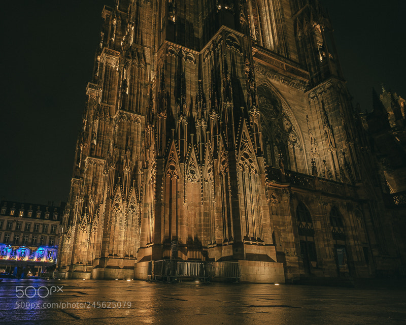 Fujifilm X-T1 sample photo. Strasbourg cathedral with all photography