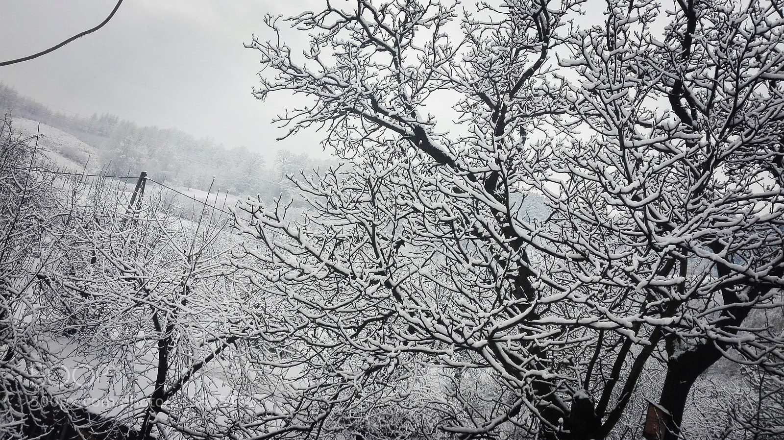 HUAWEI P8 Lite sample photo. Untitled photography