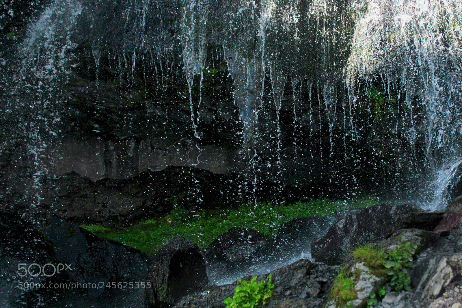 Canon EOS 1000D (EOS Digital Rebel XS / EOS Kiss F) sample photo. Grass underwaterfall photography