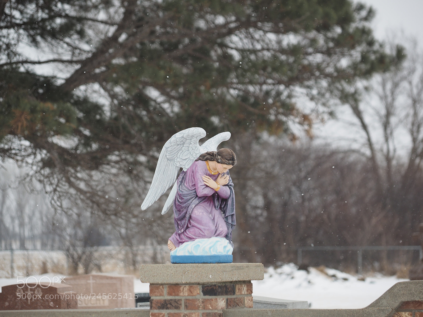 Olympus OM-D E-M1 sample photo. "snow" angel photography