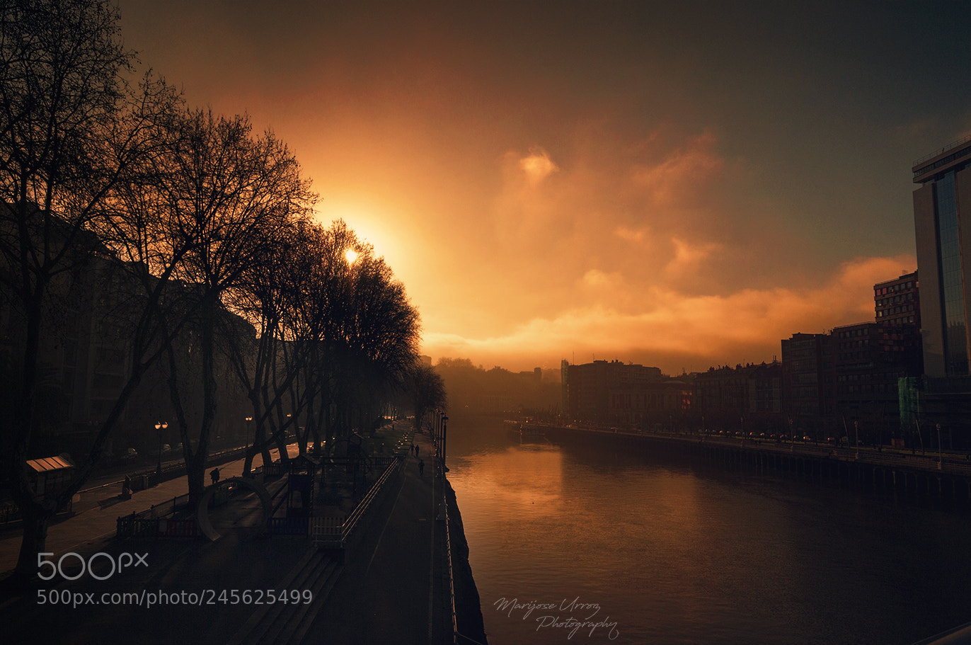 Nikon D300 sample photo. Winter sunrise photography