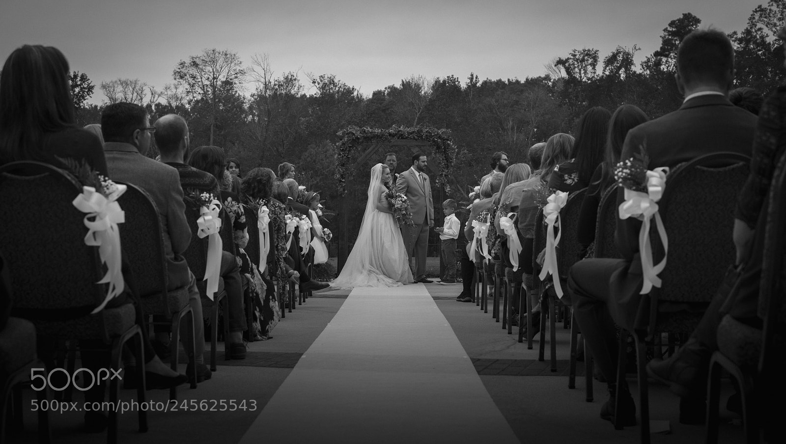 Nikon D810 sample photo. Untitled photography