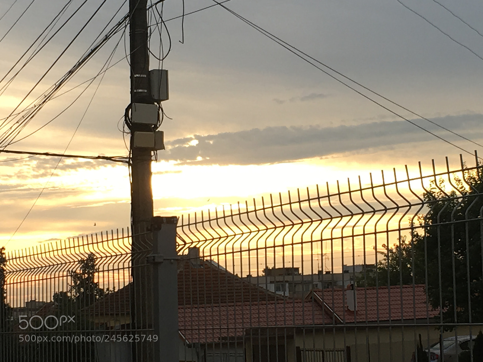 Apple iPhone 6s sample photo. Img photography
