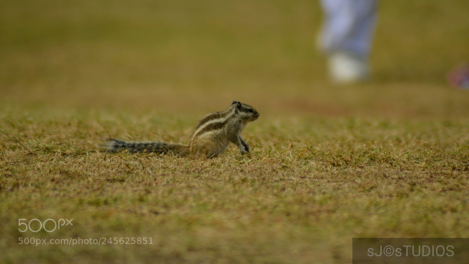 Nikon D5100 sample photo. Untitled photography