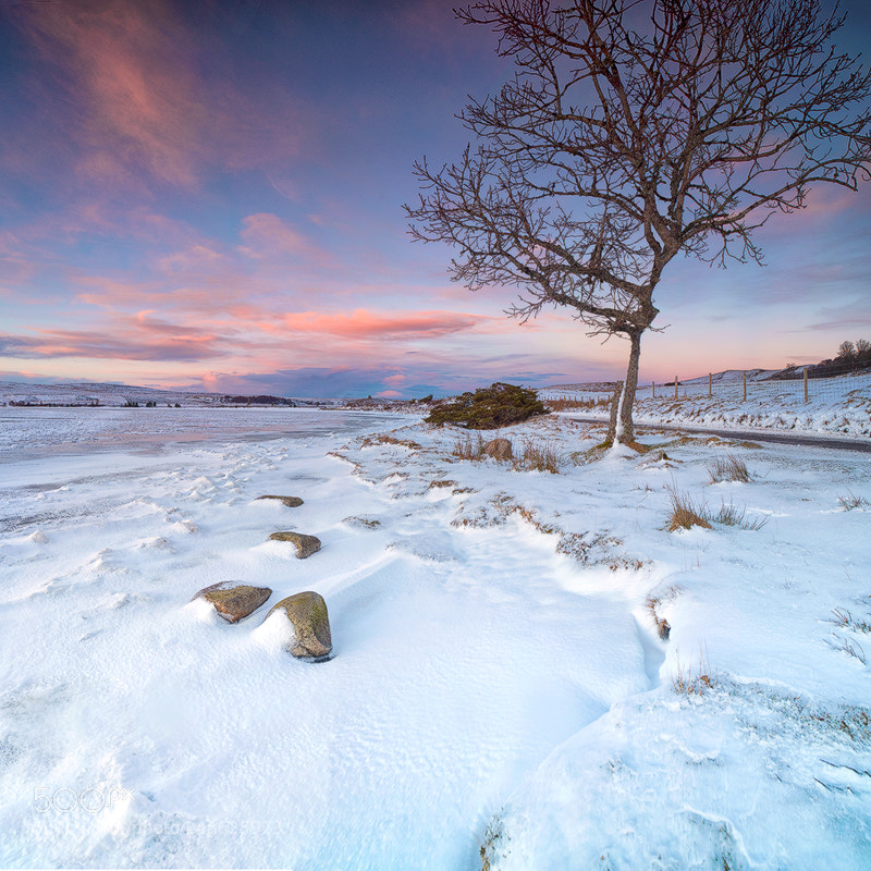 Nikon D810 sample photo. Winter at lochin dorb photography