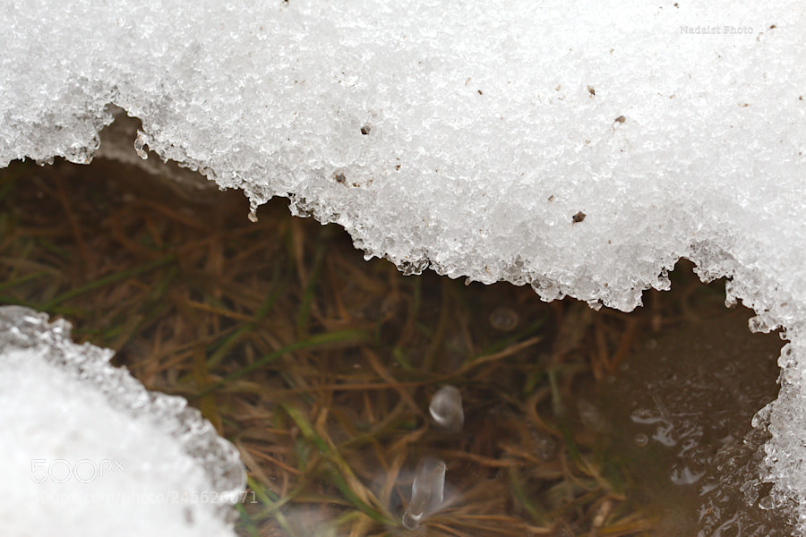 Canon EOS 700D (EOS Rebel T5i / EOS Kiss X7i) sample photo. Hiver photography