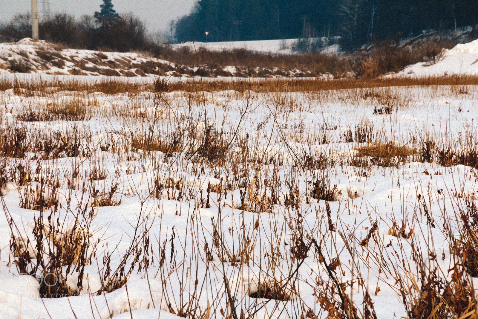 Canon EOS 600D (Rebel EOS T3i / EOS Kiss X5) sample photo. Frozen river photography