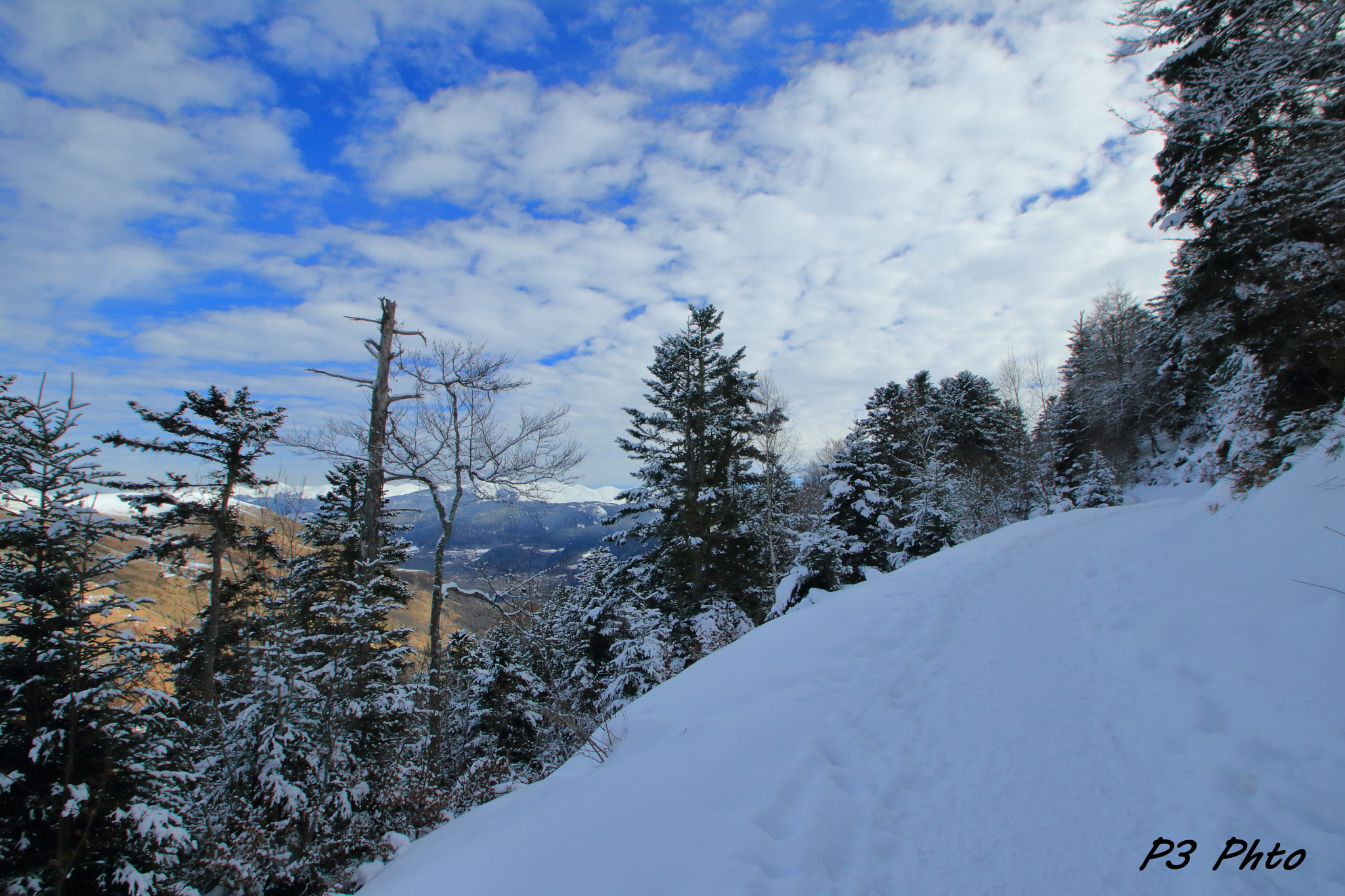Sigma 10-20mm F3.5 EX DC HSM sample photo. Img photography