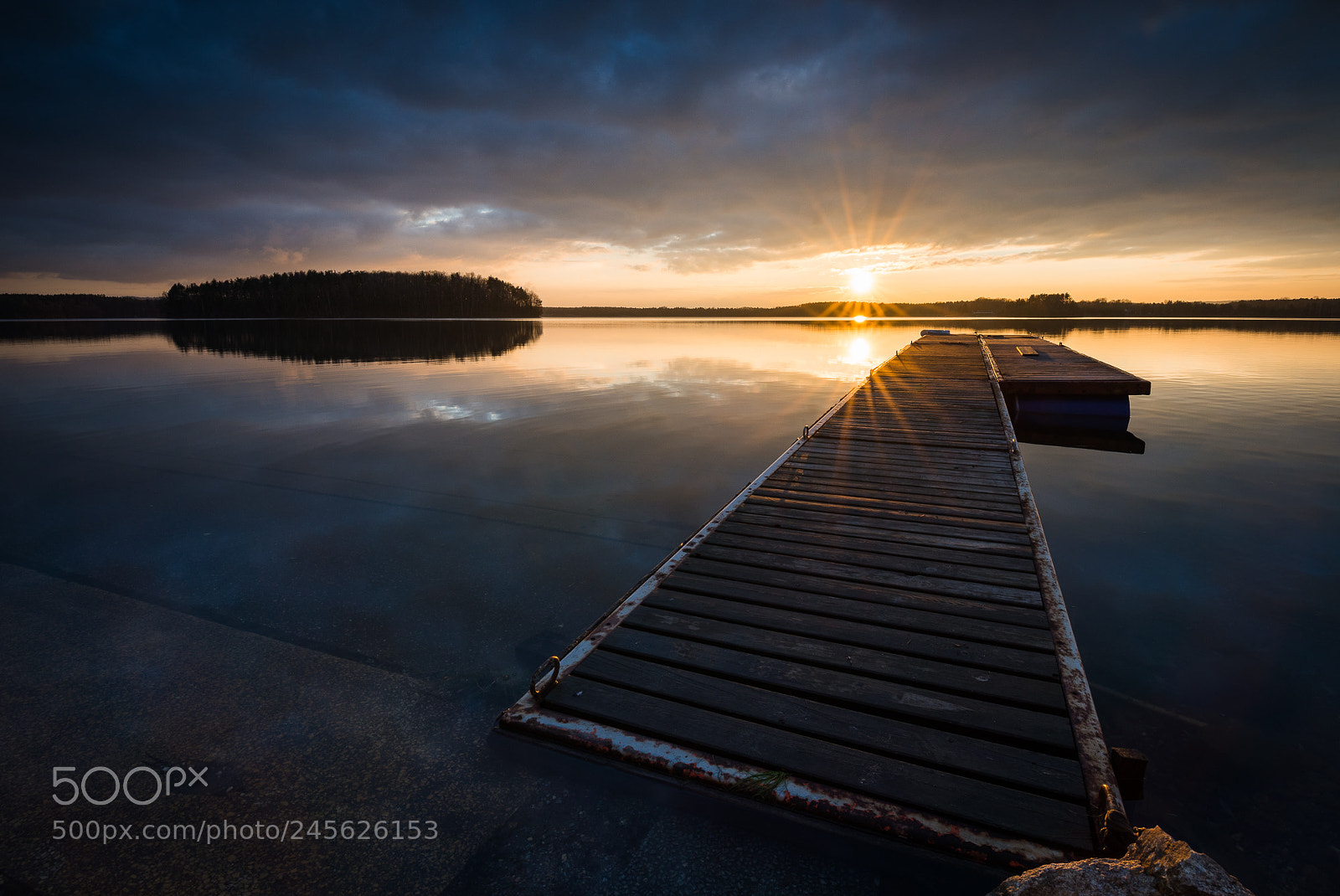 Nikon D610 sample photo. Steinberger see photography