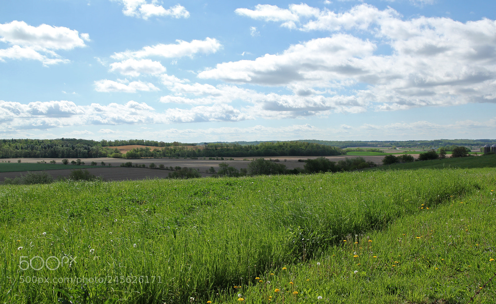 Canon EOS 550D (EOS Rebel T2i / EOS Kiss X4) sample photo. Champaign county, ohio photography