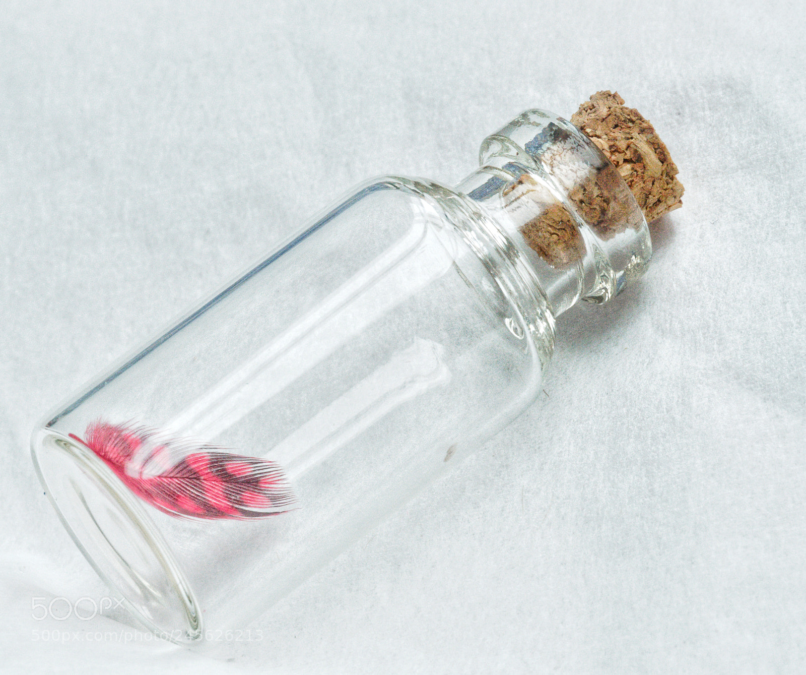 Olympus OM-D E-M5 II sample photo. In a bottle photography
