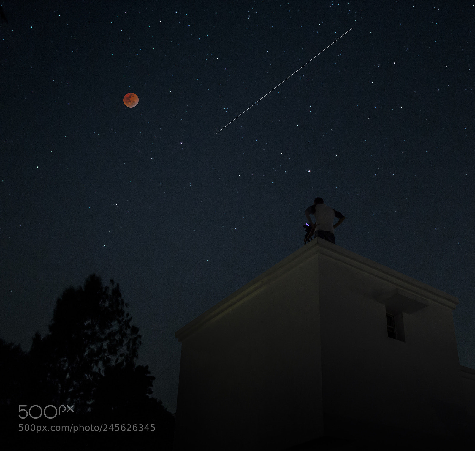 Nikon D3200 sample photo. Blood moon photography