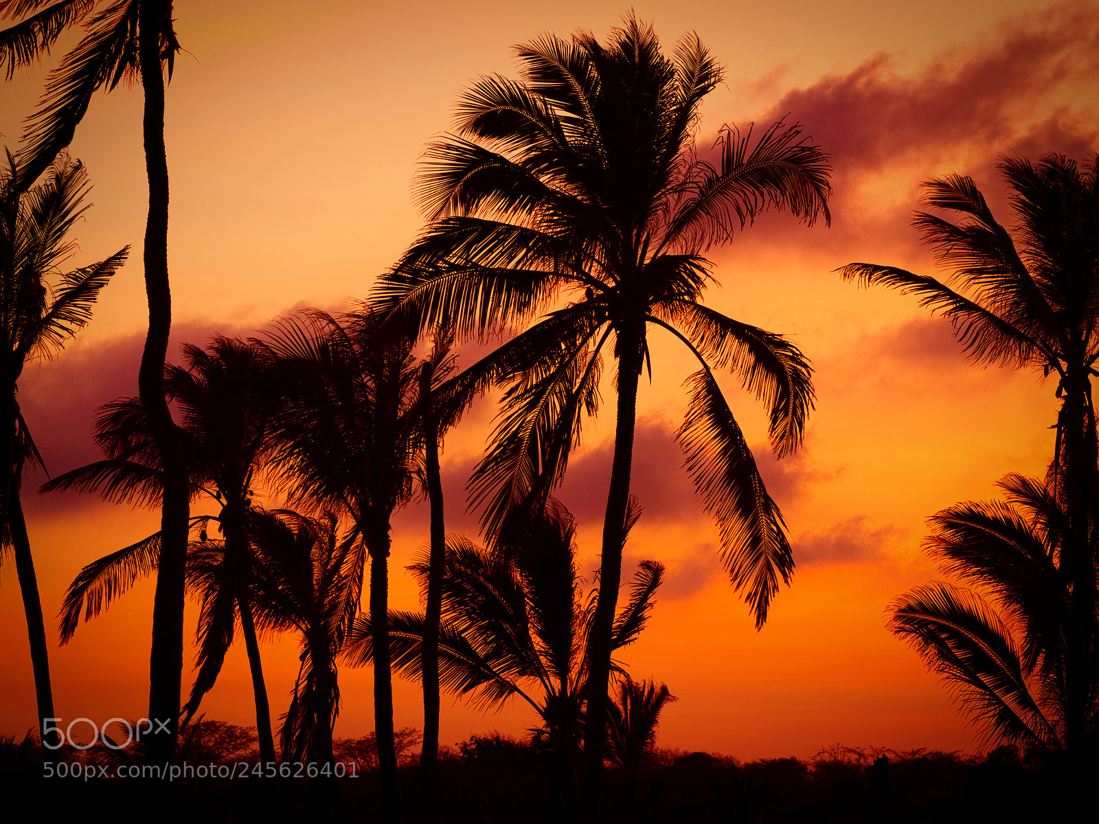 Olympus OM-D E-M5 II sample photo. Barranquilla, colombia photography