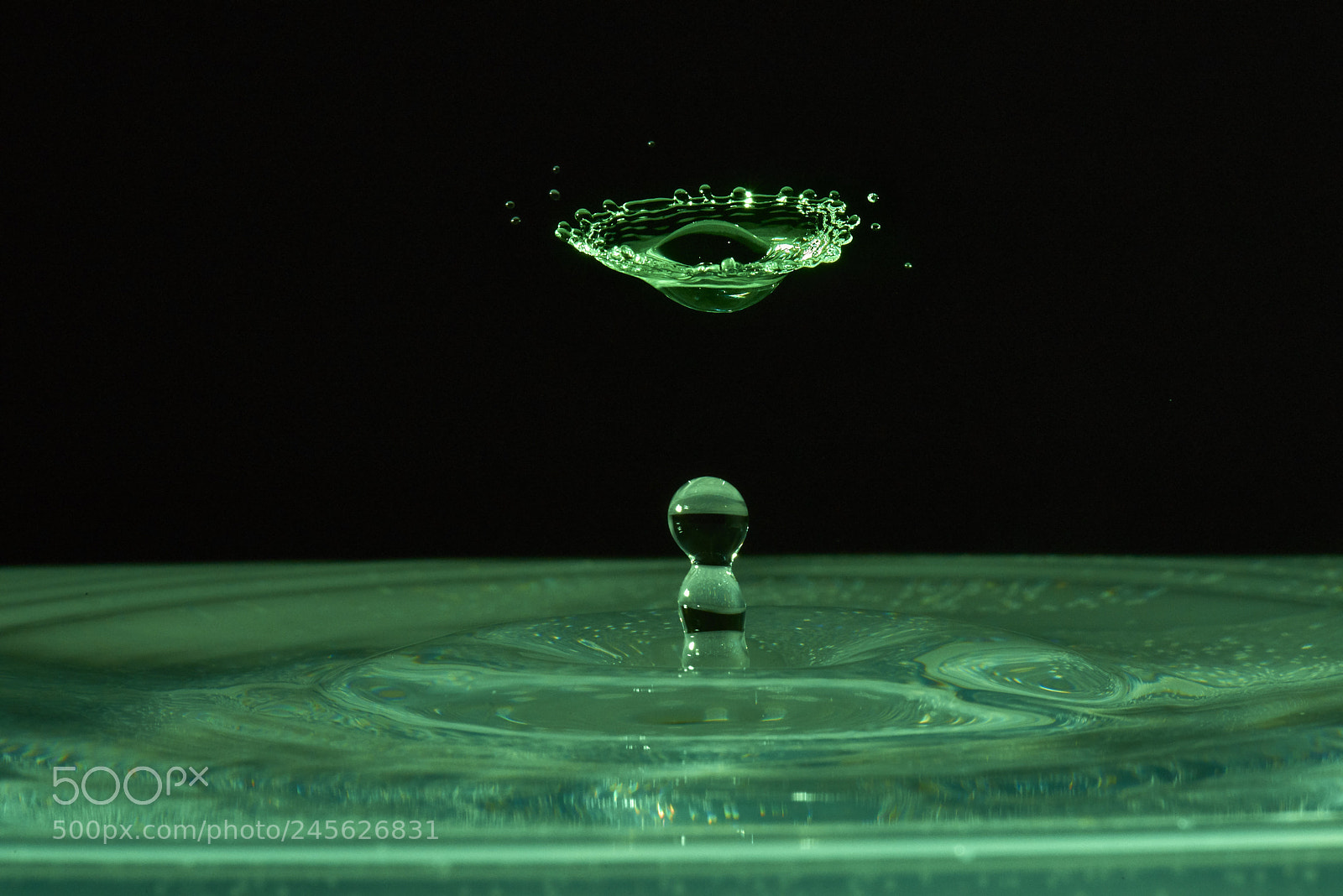 Nikon D810 sample photo. Water drop one photography