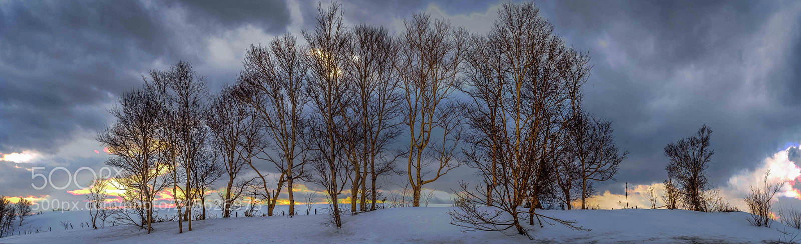 Olympus OM-D E-M5 II sample photo. Blindman's holiday photography