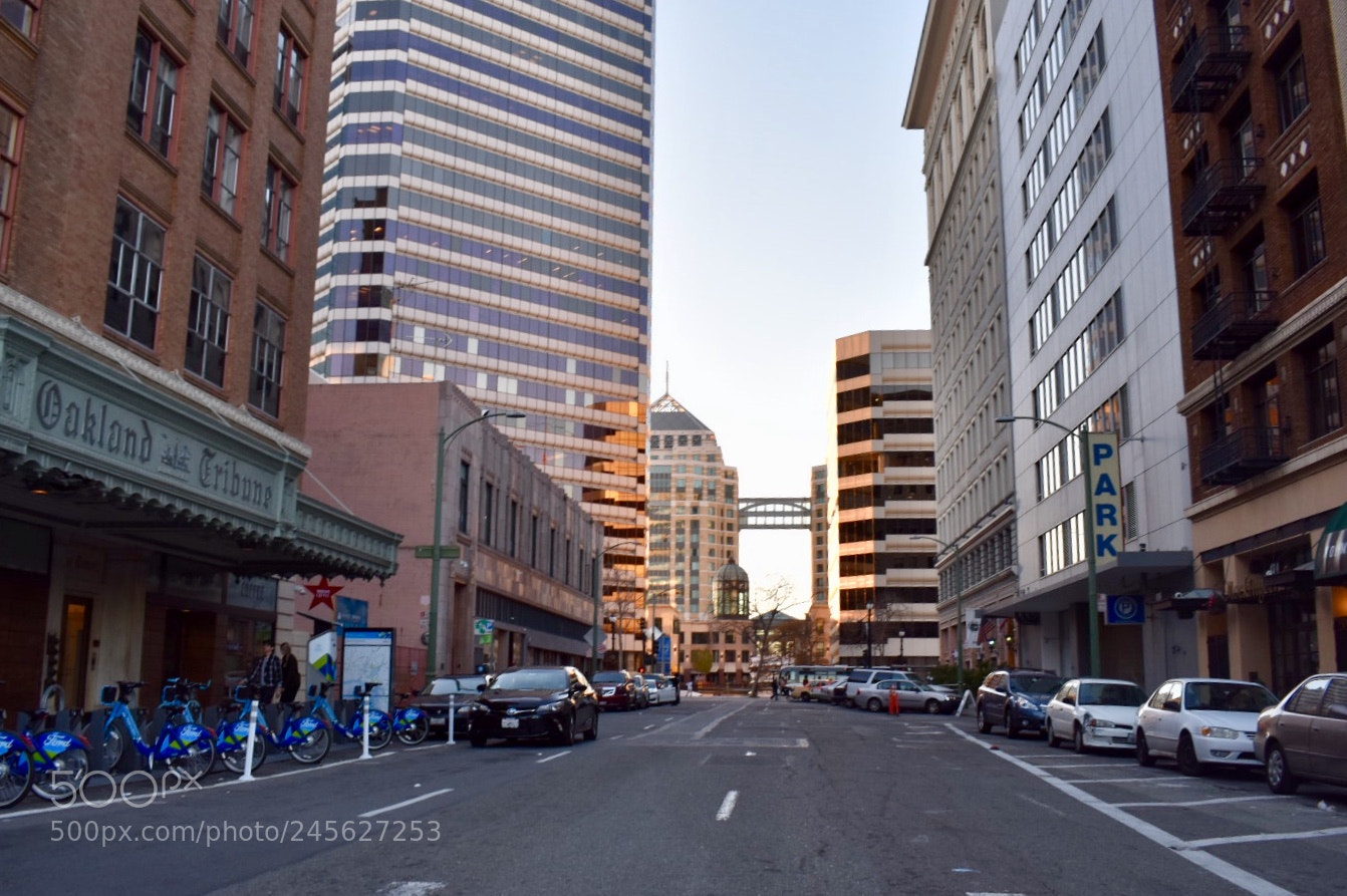 Nikon D3400 sample photo. Skybridge photography
